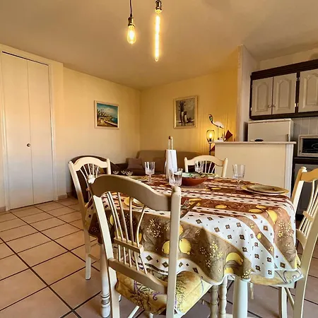 Apartamento Climatise Proche Et Commerces - 2 Pieces, 4 Pers, Parking Prive, Animaux Acceptes - Fr-1-226b-177 *